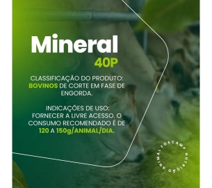 foscamp produtos(1920 x 1080 px) (2)