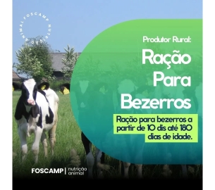 foscamp RAÇÃO PARA BEZERROS  (1920 x 1080 px)