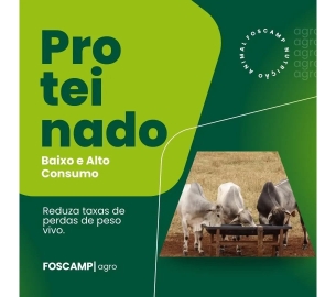 foscamp RAÇÃO PARA BEZERROS  (1920 x 1080 px) (2)