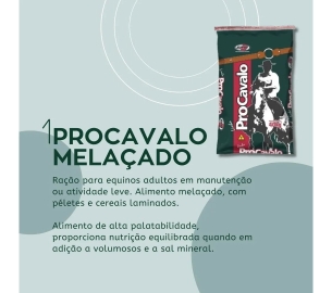 foscamp RAÇÃO PARA EQUINOS  (1920 x 1080 px)