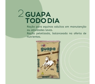 foscamp RAÇÃO PARA CAVALOS ADULTOS (1920 x 1080 px)