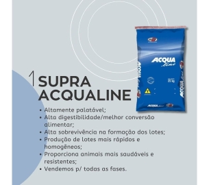 foscamp RAÇÃO PARA PEIXES  (1920 x 1080 px)